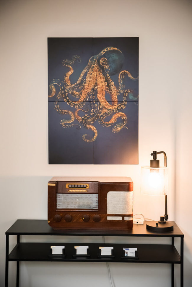photo-of-octupus-in-front-of-soothing-light-in-office